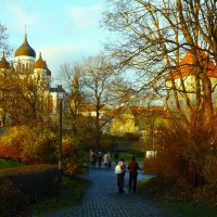 На Тоомпеа в солнечный день ноября :: Aida10 