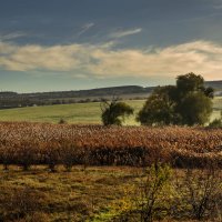 ***** :: Сергей Воротников ***** :: Сергей Воротников
