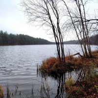 Унылая пора :: Ирина 