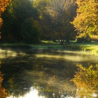 Осеннее утро :: Юрий. Шмаков Осеннее утро :: Юрий. Шмаков