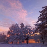 Рассвет :: Сапсан 
