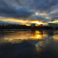 Гольяновский пруд готовится встать :: Андрей Лукьянов
