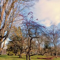 Прогулка по парку Кадриорг :: Veera V Прогулка по парку Кадриорг :: Veera V