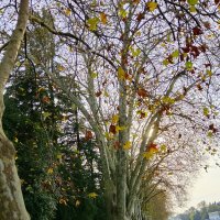 РЕКА СОЧИ :: Tata Wolf