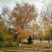 Осень :: Георгиевич Осень :: Георгиевич