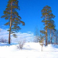 На Севере дальнем... :: Владимир 