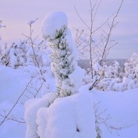 - :: Владимир Мигонькин