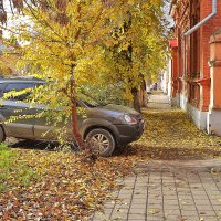 Осень :: Юрий Гайворонскiий