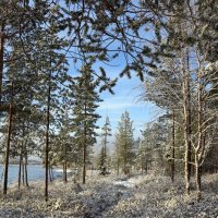 По первому снегу :: Ольга По первому снегу :: Ольга