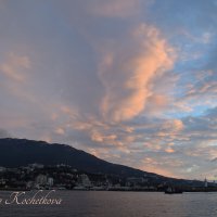 Природа Крыма :: Amazing Cosmea