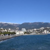 Природа Крыма :: Amazing Cosmea