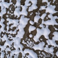 Лабиринт :: Ольга Савельева 