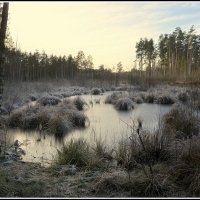 Зима пришла :: Aleksandr Gal