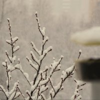 Крышку приспособил !.. :: Юрий Куликов