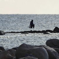 последние дни осени :: ИННА ПОРОХОВА