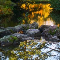 Запруда :: Юрий. Шмаков