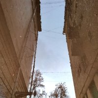 Отражение :: Любимова Ольга 