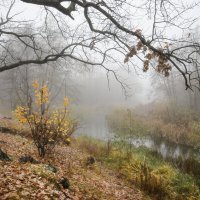 Туманное безмолвие :: Валерий VRN Туманное безмолвие :: Валерий VRN