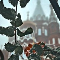 Ноябрь уж наступил... :: Алекс / Ноябрь уж наступил... :: Алекс /