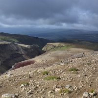 Кажется дождь собирается :: Марина Виноградова