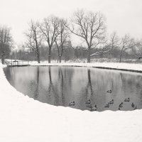 *** :: Сергей Григорьев