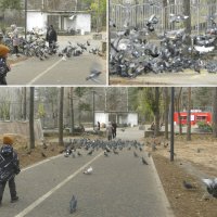 *** :: Лера *** :: Лера