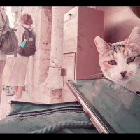 13  ОПЕН (675) :: OPEN WAYS ALL