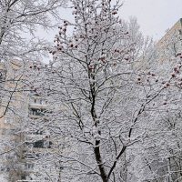 Дождались! :: Ирина *** Дождались! :: Ирина ***