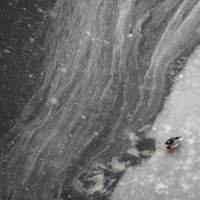 Лахтинский залив :: Виктория Поликарпова