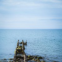 Дорога в море :: Сергей Сабешкин Дорога в море :: Сергей Сабешкин