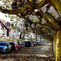 Осень в кадре(серия) :: Владимир Манкер