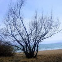 Утро,туманное,утро седое... :: Георгиевич