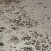 Зимушка- зима :: Ната Платонова