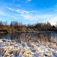 Солнечный день ноября. :: Милешкин Владимир Алексеевич 