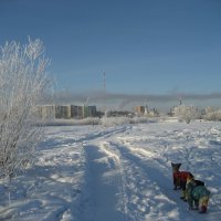 Домой :: Anna Ivanova