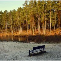 Противостояние... :: Aleksandr Gal