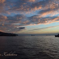 Природа Крыма :: Amazing Cosmea