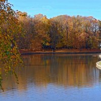 Зоологический пруд :: Сергей Карачин