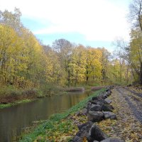 Ноябрь :: Рита Симонова