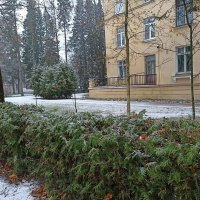 Первый снег. Зеленогорск. Ленинградская область. :: Лилия *