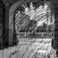 Спб :: Виктория Поликарпова