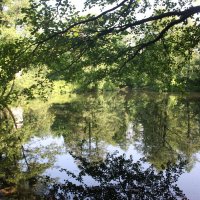 Тихая заводь :: Маргарита Б