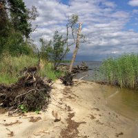 Пейзаж :: Вячеслав Алтай