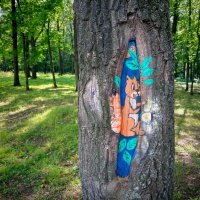 Белочка на дереве :: Надежда 