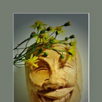 МАСКА... :: Elvira E. 