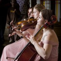 *** :: Александр 