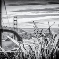 Мост ;-) :: Алексей Пышненко