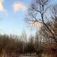 Эх, дороги... :: Наталья Герасимова