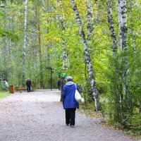 Будни таёжного города :: Василий 