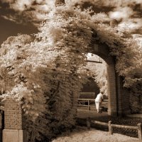 В созерцании... :: Николай Гирш